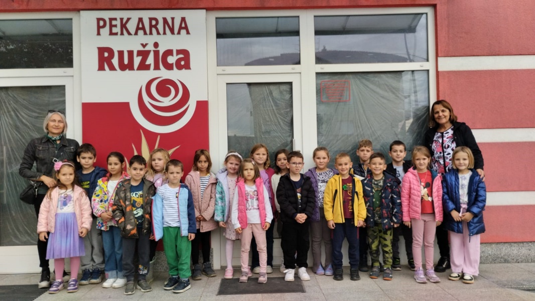 Leptirići i Bumblebees u posjetu pekari - slika broj: 4